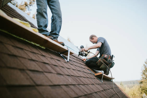 Best Roof Gutter Cleaning  in Spring Glen, UT